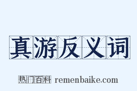 真游反义词是什么意思的图片